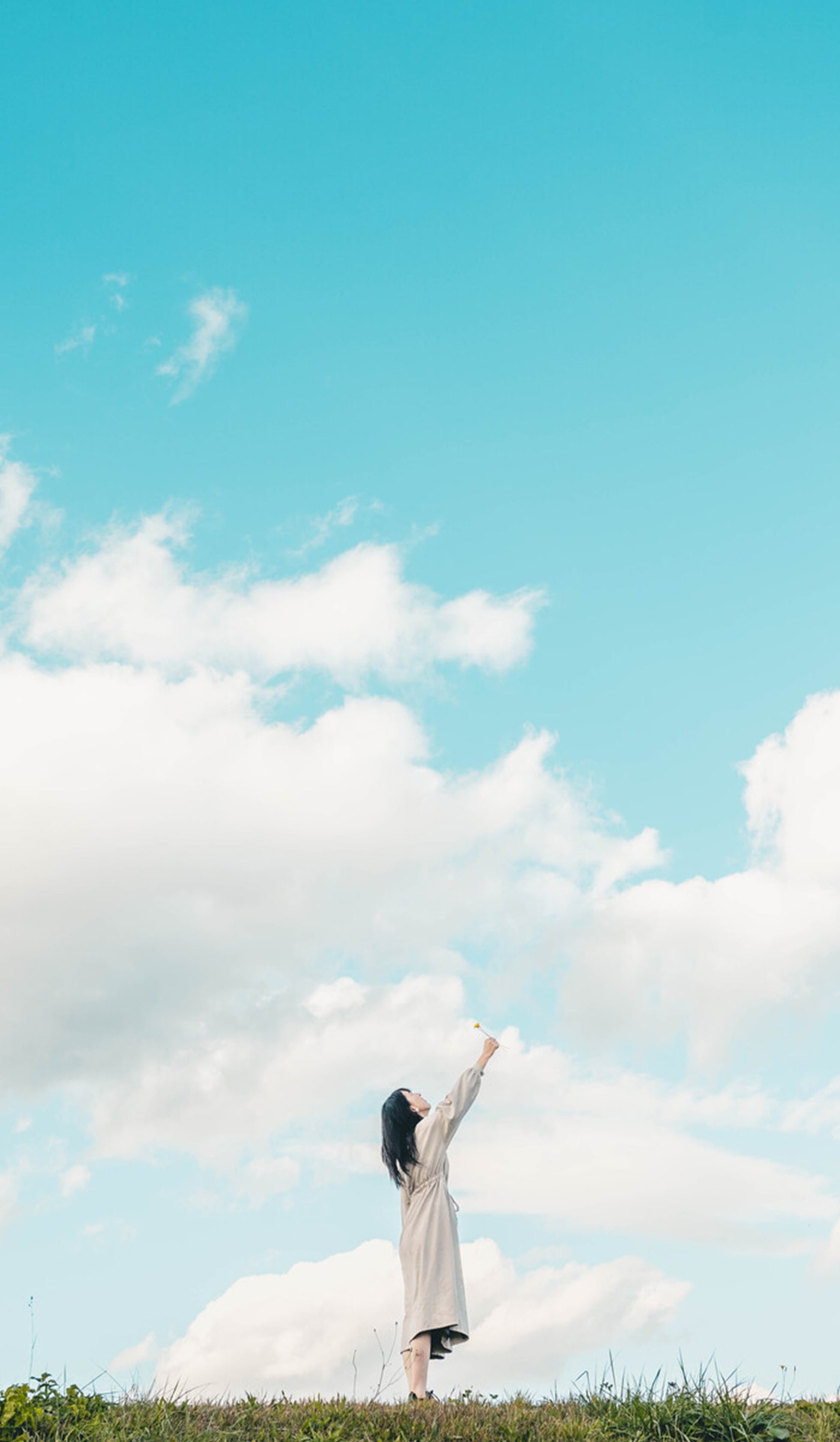 Test for 1 years subsc